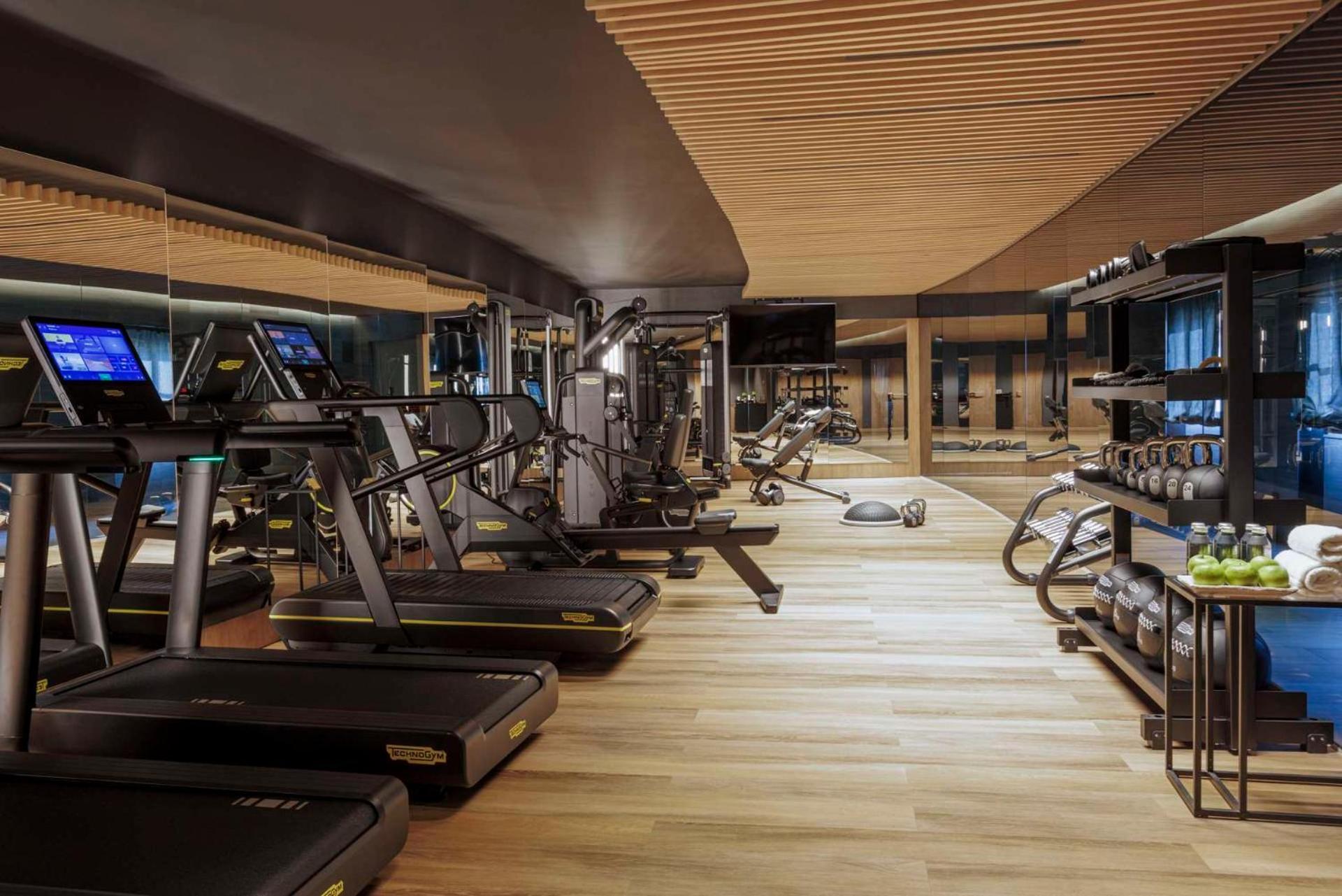 Anantara Palazzo Naiadi Rome Hotel - A Leading Hotel Of The World Exterior photo The gym at The Hari
